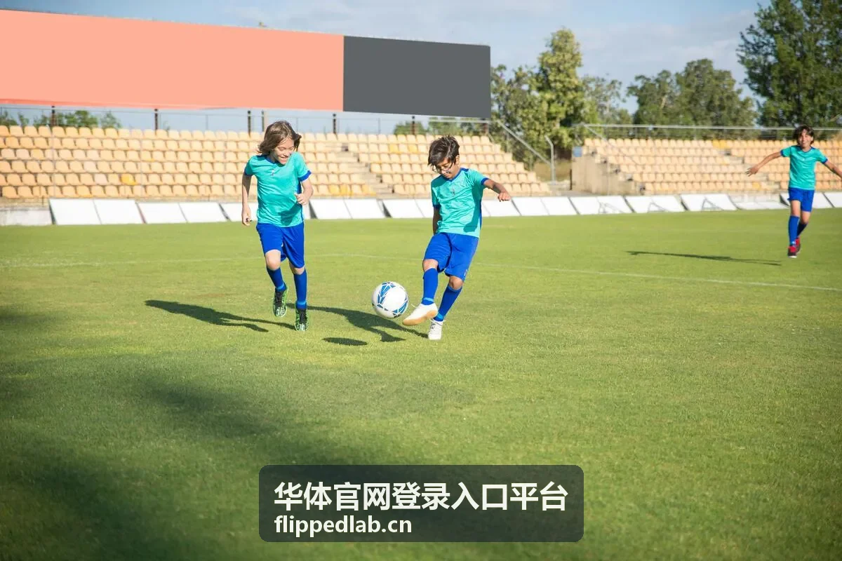 华体官网登录入口平台页面加载异常排查