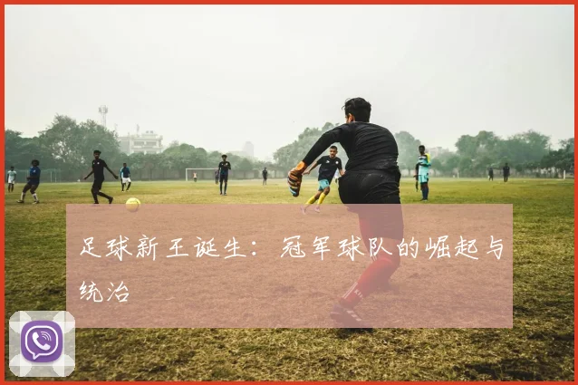 足球新王诞生：冠军球队的崛起与统治