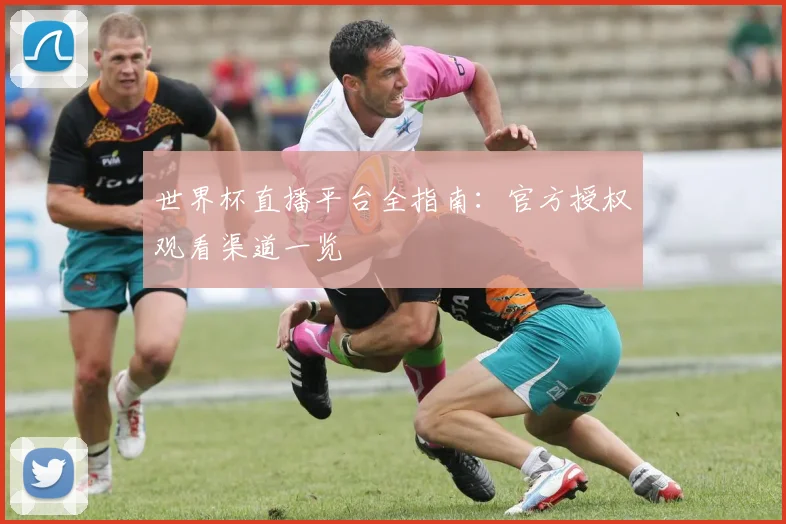 世界杯直播平台全指南：官方授权观看渠道一览