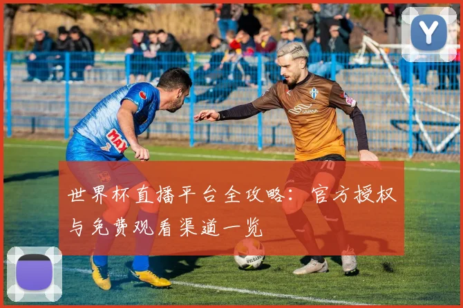 世界杯直播平台全攻略：官方授权与免费观看渠道一览