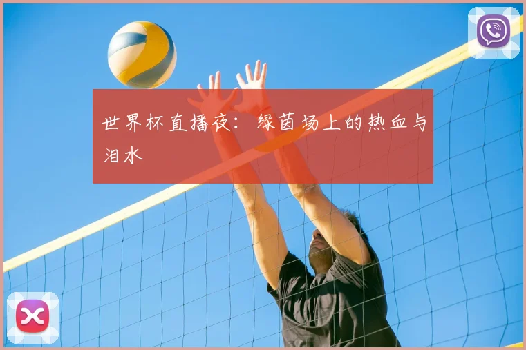 世界杯直播夜：绿茵场上的热血与泪水