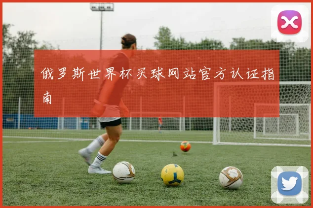 俄罗斯世界杯买球网站官方认证指南
