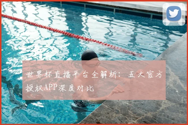 世界杯直播平台全解析：五大官方授权APP深度对比