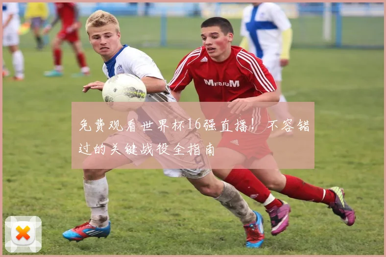 免费观看世界杯16强直播!不容错过的关键战役全指南