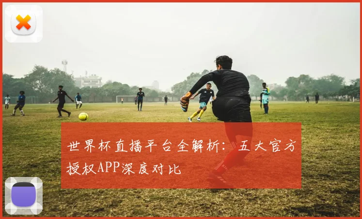 世界杯直播平台全解析：五大官方授权APP深度对比