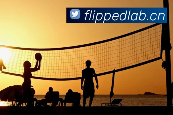 kaiyunapp官方下载入口服务体系